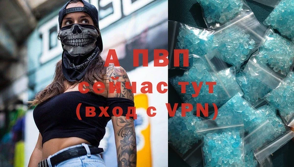 МДПВ Нея