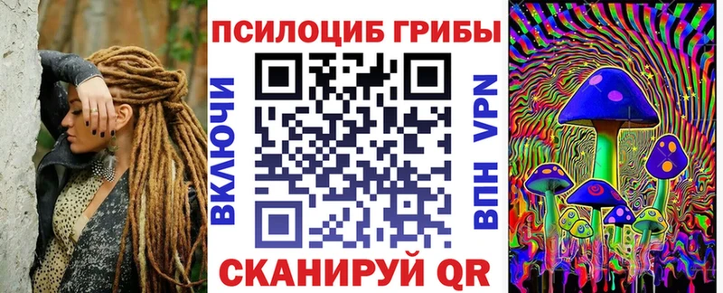 цены наркотик  Чебаркуль  Псилоцибиновые грибы GOLDEN TEACHER 